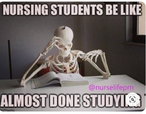 studying for nursing finals funny